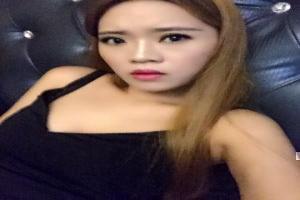免费下载晋江文的网站